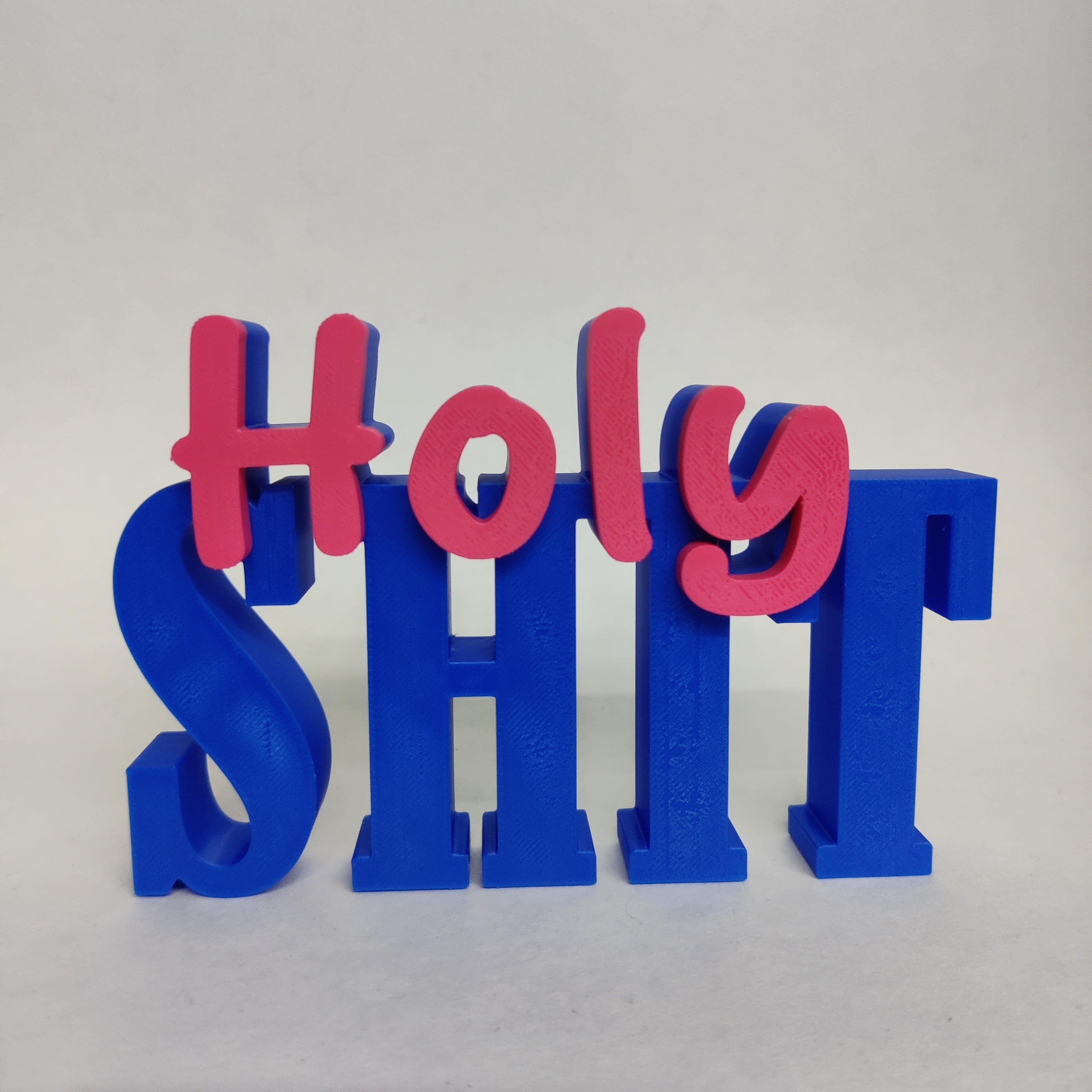 Tekst Holy Shit | 3D Geprint Accessoire